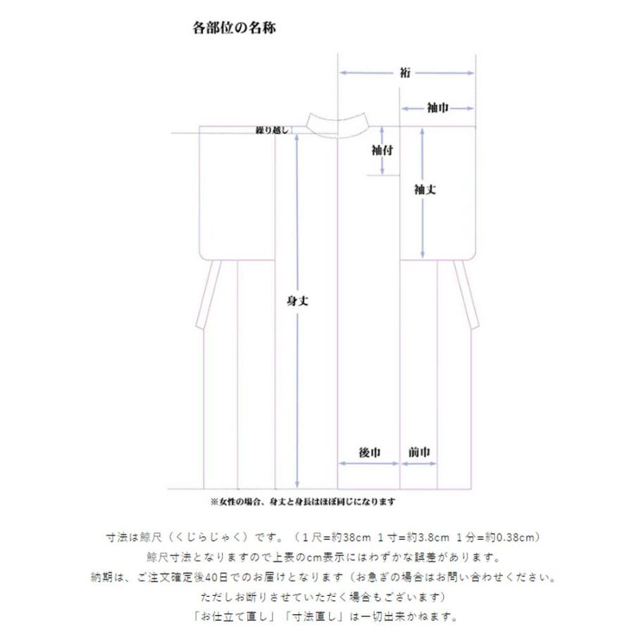 東レシルックきもの 美來 「小花唐草」 KX24106ASKの画像