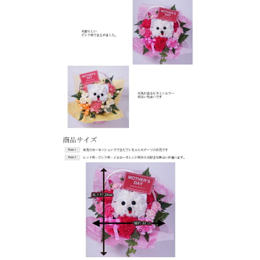 ふるさと割 母の日 動物 マザーズデー アニマル フラワーアレンジorブーケ 花束 Wantannas Go Id