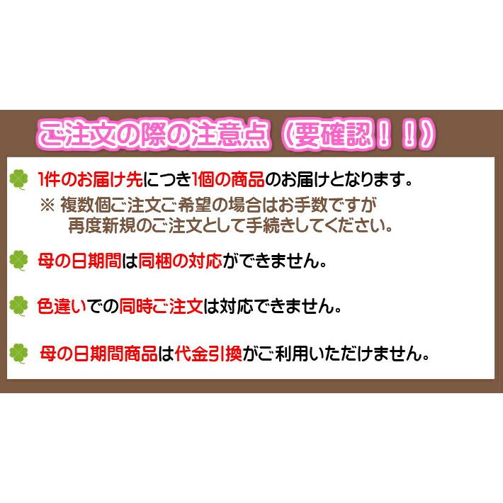 母の日　カラー鉢　　限定品　カラー　アンティーク　毎年咲くカラー♪｜sanbonyah｜16