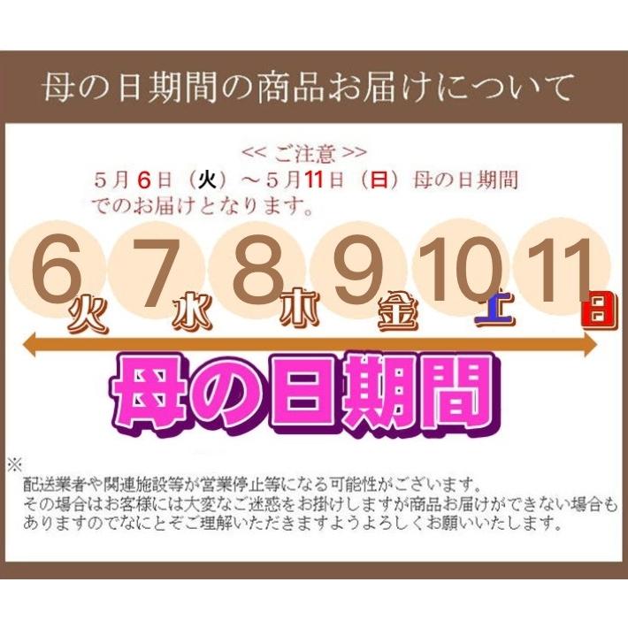 母の日 アジサイ 鉢植え 月虹ブルー 新品種 2025年（福岡県生産者のみ