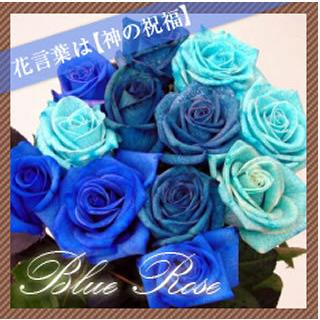 青いバラ5本＆グリーンアレンジメント【生花】ブルーローズ 青バラ 青