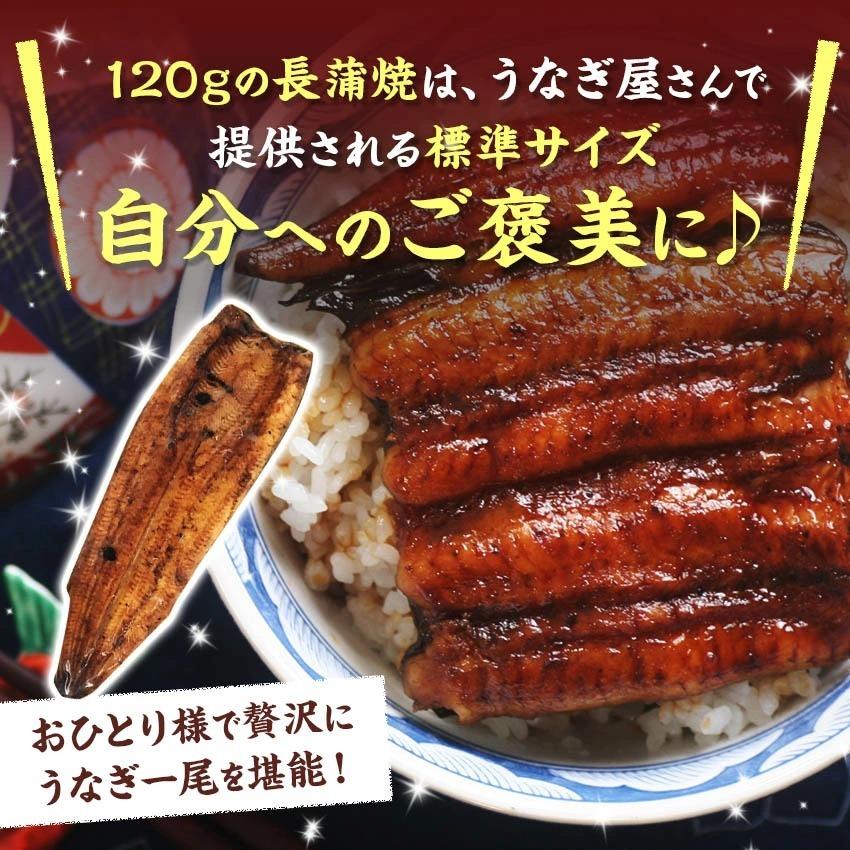 【無添加タレの浜名湖うなぎ】【送料無料】国産うなぎの最高峰 浜名湖うなぎ≪長蒲焼120ｇ×2本≫ 残暑見舞い　敬老の日※自宅用のためのし対応不可  父の日｜sanboshi｜02