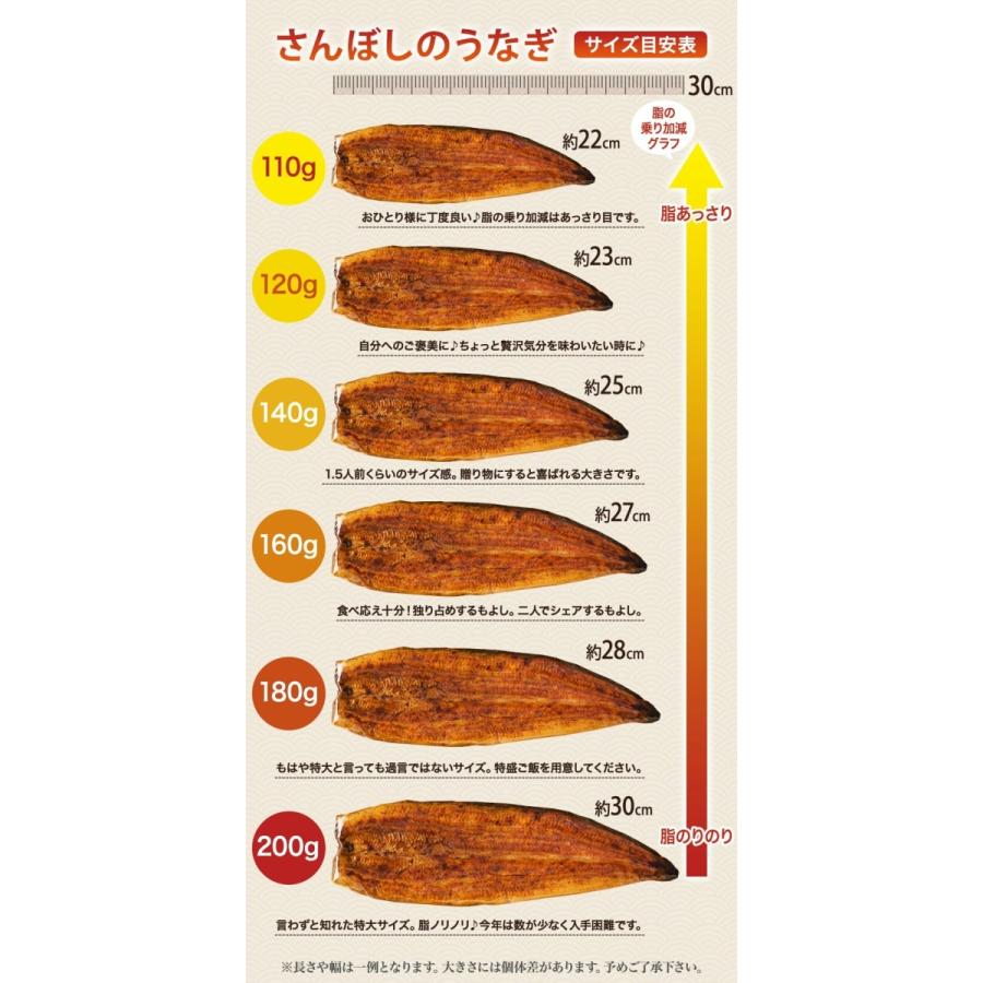 【無添加タレの浜名湖うなぎ】【送料無料】国産うなぎの最高峰 浜名湖うなぎ≪長蒲焼120ｇ×2本≫ 残暑見舞い　敬老の日※自宅用のためのし対応不可  父の日｜sanboshi｜07