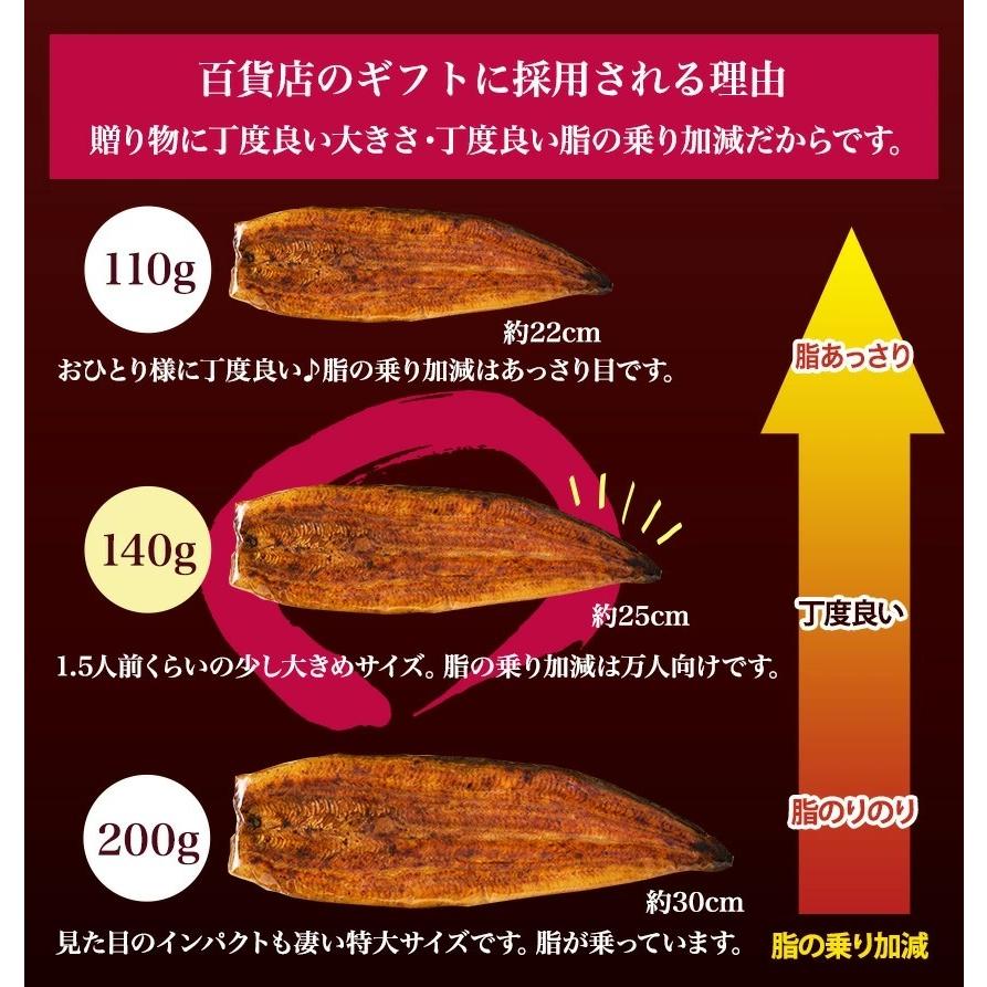 【無添加タレの浜名湖うなぎ】国産うなぎの最高峰 蒲焼140g×2尾　ギフト 無添加のタレ使用【送料無料】ウナギ 鰻 静岡  父の日｜sanboshi｜04