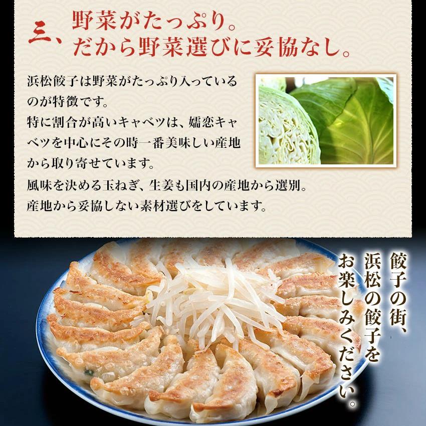 【送料無料】無添加浜松餃子　紅白食べ比べセット　スライスガーリック入り赤袋（30粒）＋あっさり白袋（30粒）　たっぷりメガ盛り合計1.2kg（60粒） 母の日｜sanboshi｜09