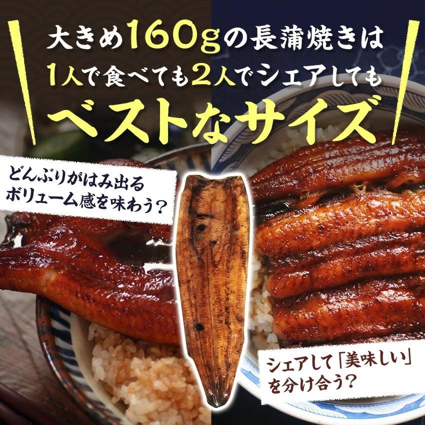 【値下げ中】【無添加タレの浜名湖うなぎ】国産うなぎの最高峰 大蒲焼(160g→180gに増量中）×2尾＋肝焼きギフト【送料無料】誕生日 ウナギ 鰻  父の日｜sanboshi｜03