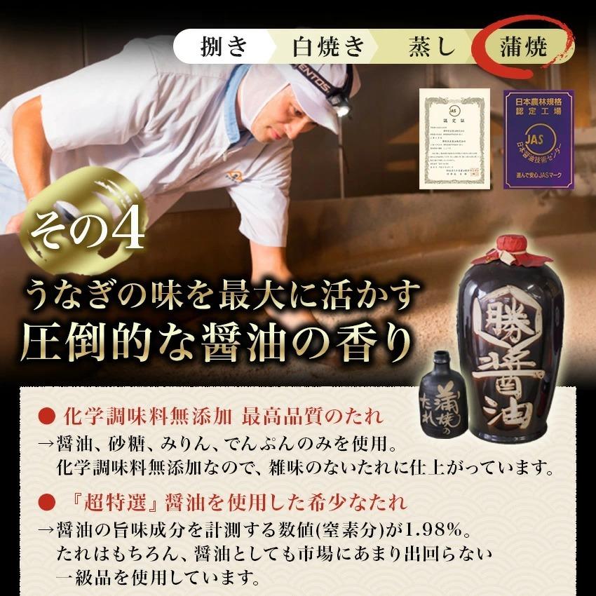 【値下げしました】国産うなぎの最高峰 浜名湖うなぎ 白焼き120g×5本ギフト【 送料無料 】誕生日プレゼント お中元_9
