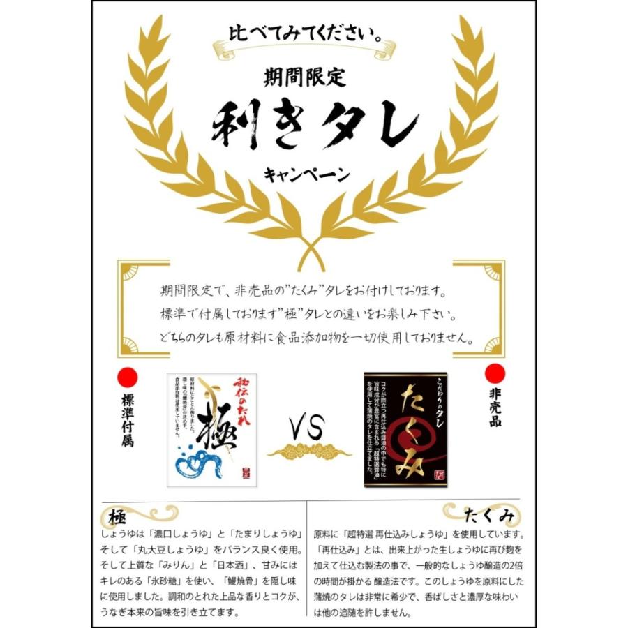 【値下げしました】【無添加タレの浜名湖うなぎ】国産うなぎの最高峰 蒲焼き 特大200g×2本ギフト【送料無料】浜名湖産 静岡 誕生日 母の日 花以外｜sanboshi｜02