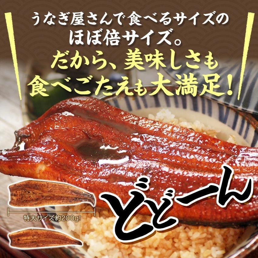 【値下げしました】【無添加タレの浜名湖うなぎ】国産うなぎの最高峰 蒲焼き 特大200g×2本ギフト【送料無料】浜名湖産 静岡 誕生日  父の日｜sanboshi｜03