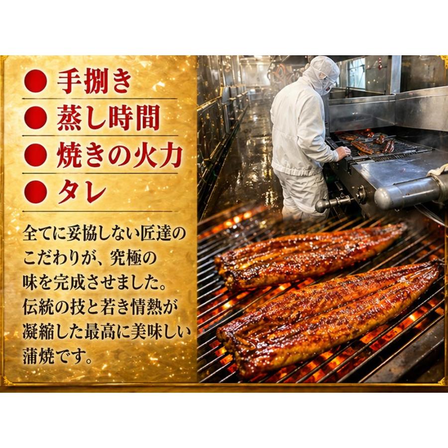 浜名湖うなぎ 特大蒲焼 やわら華 約200g×3尾 国産 静岡産 無添加 ふっくら柔らか めすうなぎ 送料無料_10