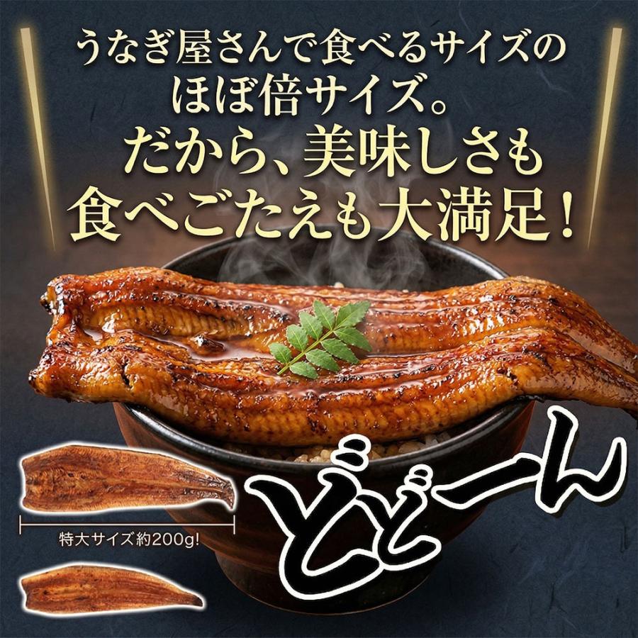 浜名湖うなぎ 特大蒲焼 やわら華 約200g×3尾 国産 静岡産 無添加 ふっくら柔らか めすうなぎ 送料無料_2