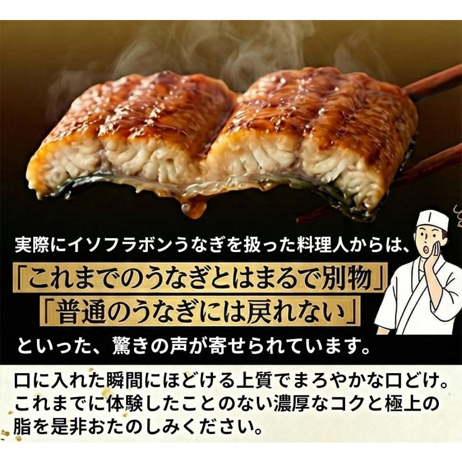 浜名湖うなぎ 特大蒲焼 やわら華 約200g×3尾 国産 静岡産 無添加 ふっくら柔らか めすうなぎ 送料無料_4