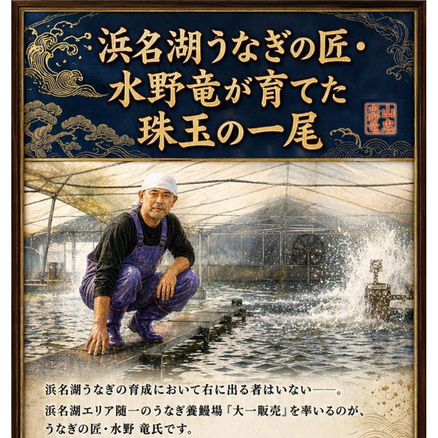 浜名湖うなぎ 特大蒲焼 やわら華 約200g×3尾 国産 静岡産 無添加 ふっくら柔らか めすうなぎ 送料無料_5