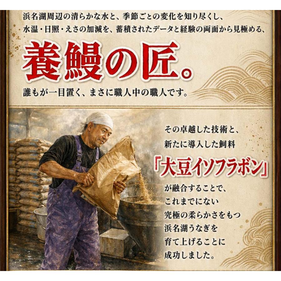 浜名湖うなぎ 特大蒲焼 やわら華 約200g×3尾 国産 静岡産 無添加 ふっくら柔らか めすうなぎ 送料無料_6