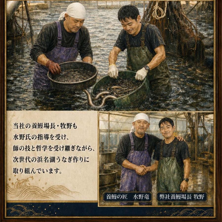 浜名湖うなぎ 特大蒲焼 やわら華 約200g×3尾 国産 静岡産 無添加 ふっくら柔らか めすうなぎ 送料無料_7