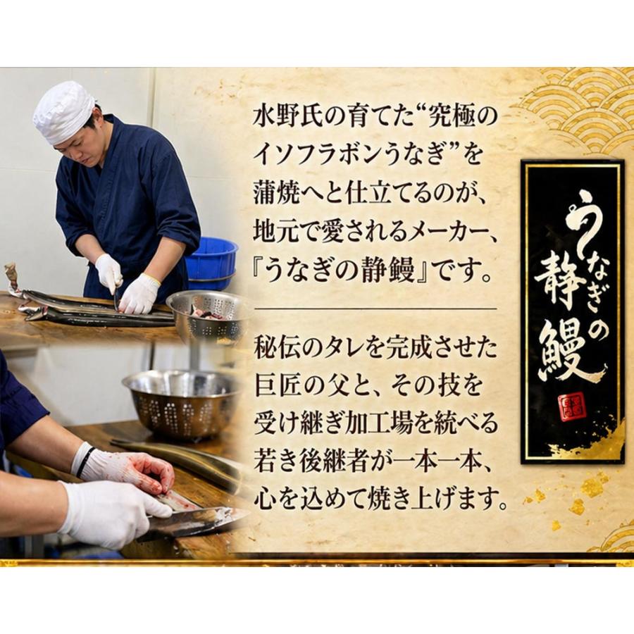 浜名湖うなぎ 特大蒲焼 やわら華 約200g×3尾 国産 静岡産 無添加 ふっくら柔らか めすうなぎ 送料無料_9