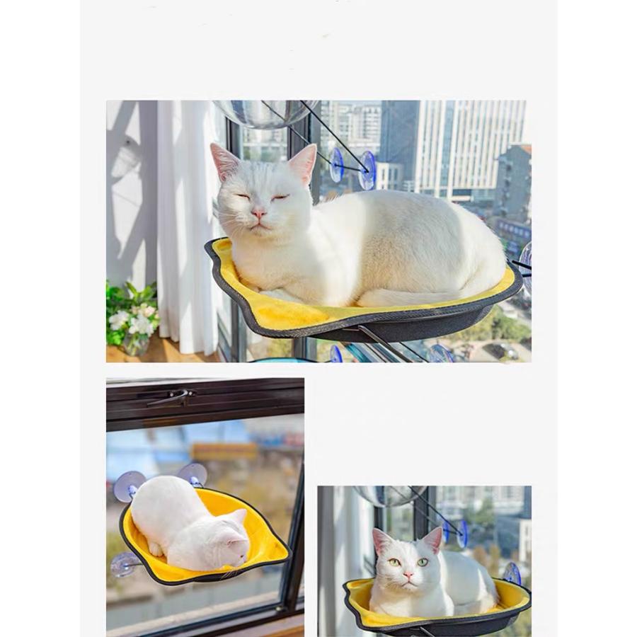 猫用ベッド 窓辺 吸盤付きの猫ハンモック 猫のベッド 猫鍋 猫顔型 昼寝 日光浴 強力吸盤 安定 吸盤*4 耐荷重15KG 2サイズ :FA307080:3Cショップ - 通販 - Yahoo!ショッピング 猫用ベッド 窓辺 吸盤付きの猫ハンモック 猫のベッド 猫鍋 猫顔型 昼寝 日光浴 強力吸盤 安定 吸盤*4 耐荷重15KG 2サイズ :FA307080:3Cショップ - 通販 - Yahoo!ショッピング