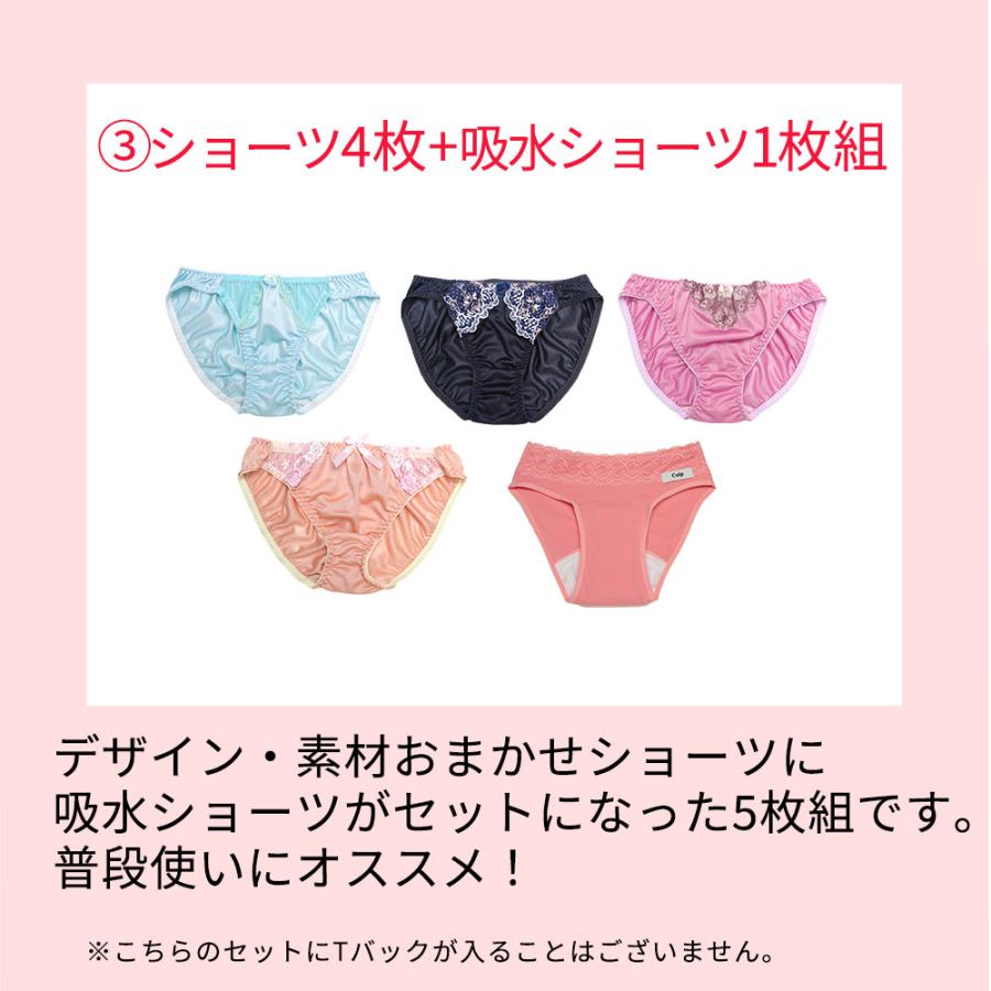【新品未使用】下着セット ブラ＆ショーツ 12組 三恵（SANKEI） 福袋 2026 下着 福袋 レディース ショ−ツ パンティ