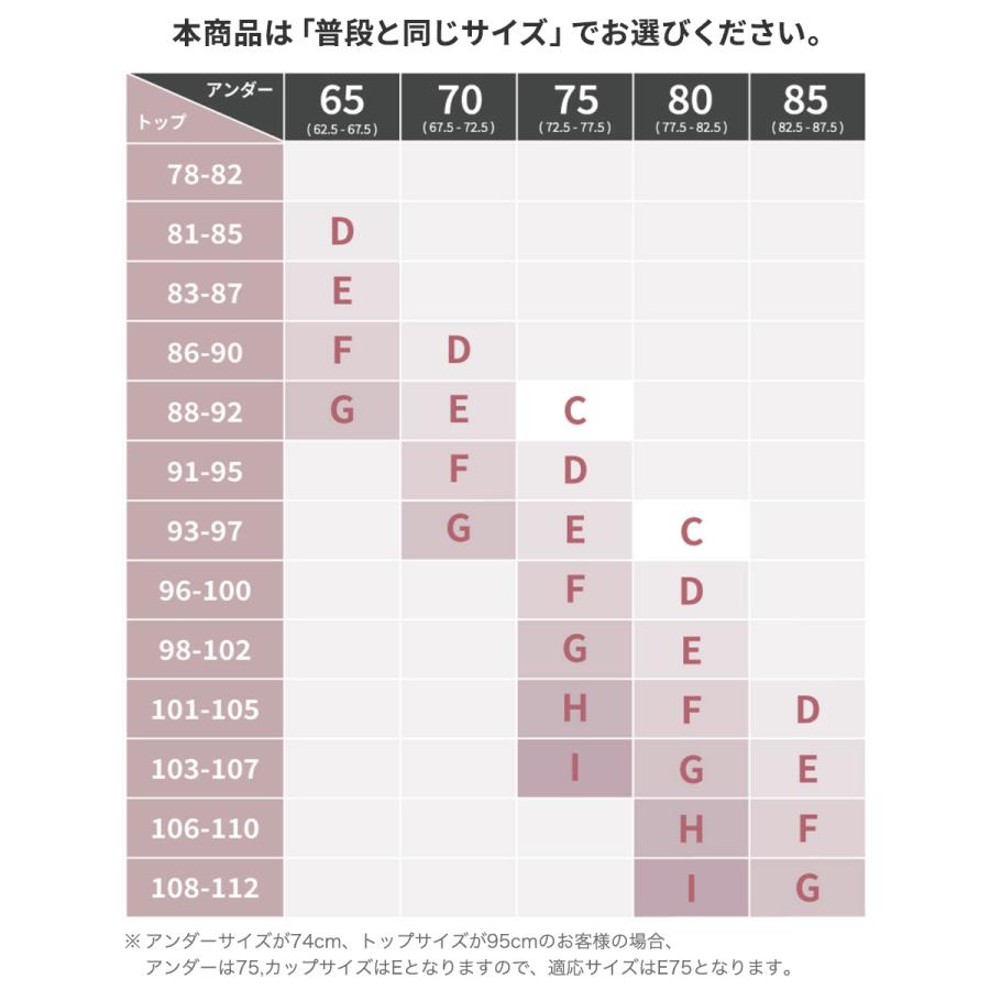 ブラジャー ショーツ セット 大きいサイズ 小さく見せるブラ さらし 上下 レディース 下着 女性 脇肉補正 脇高 40代 50代 ワイヤー入り 着痩せ gカップ H I｜sancha｜25