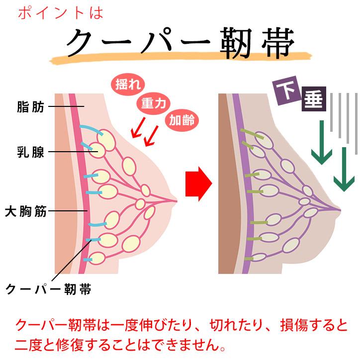 所属 リム 地上で 寝る 時 ブラ 乳がん Fo Jp