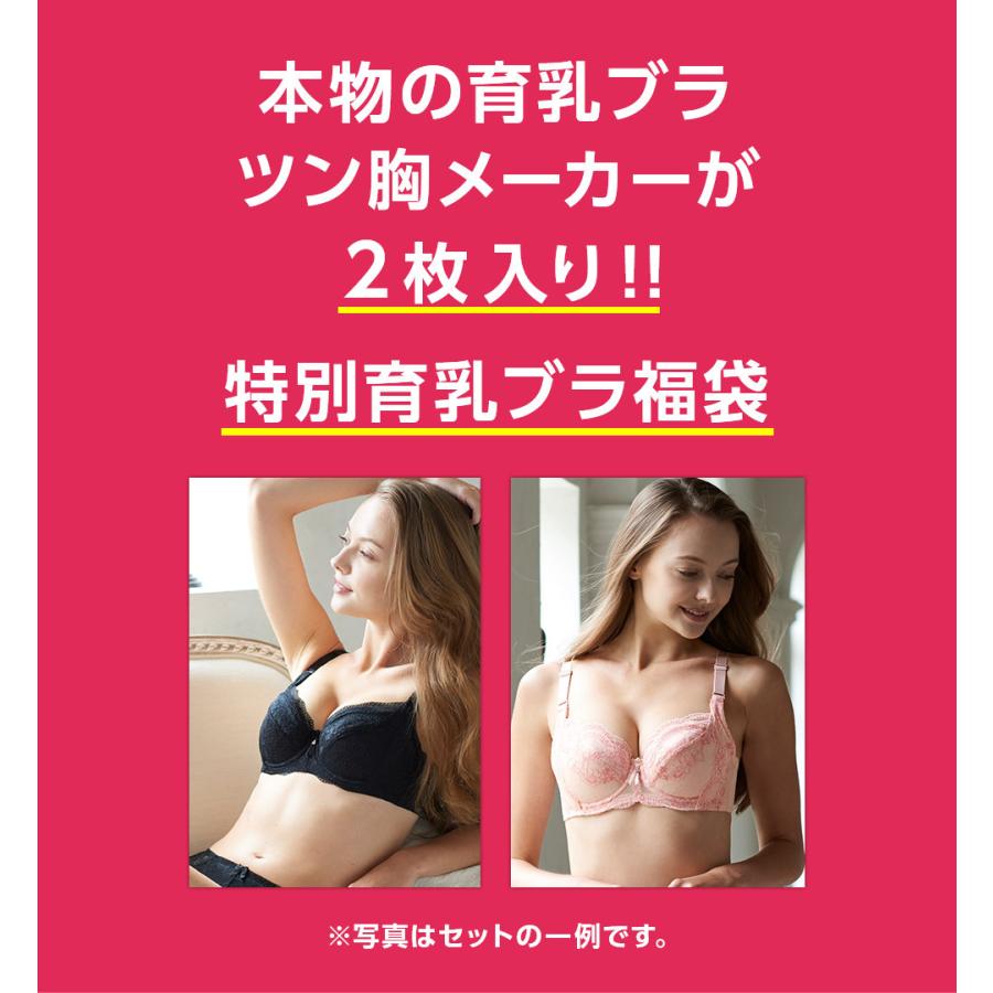 福袋 21 福袋 21 レディース ツン胸メーカー 2点セット 福袋 下着福袋 ブラジャー 脇肉 育乳 脇高 補正ブラ 垂れ胸 贅肉 バストアップ 大きいサイズ 三軒茶屋通信インナーウエア三恵 通販 Paypayモール