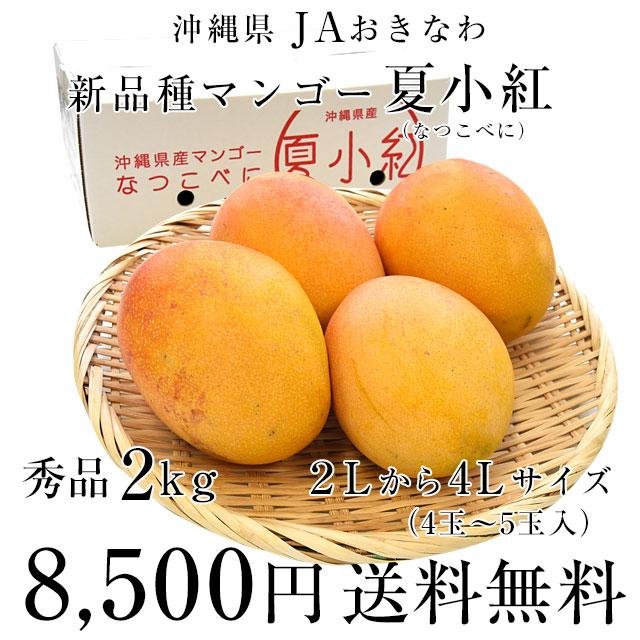 沖縄県より産地直送 JAおきなわ 新品種マンゴー 夏小紅(なつこべに)２Lから４Lサイズ 秀品 約2キロ (4玉から5玉入) 送料無料｜sanchimarugotoouen｜03