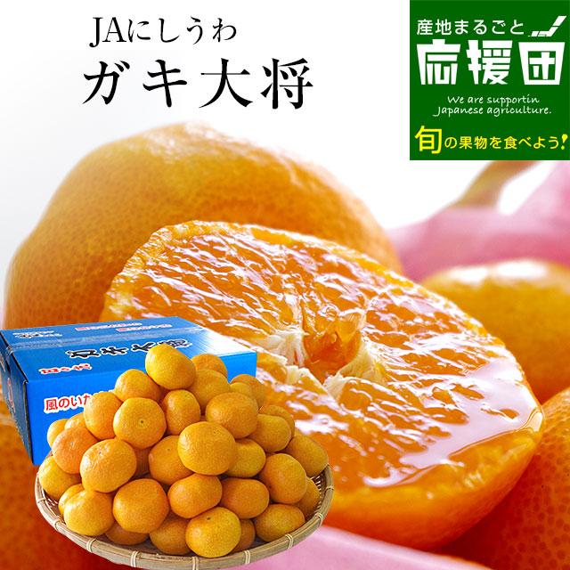 柿4キロ みかん5キロtomi 希少！】母のみかん「紀六柑」ジューシー甘い！有田みかんご家庭用3kg