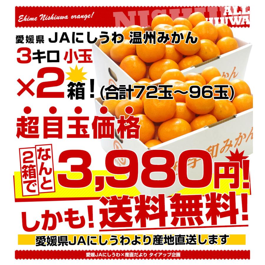 愛媛県より産地直送 JAにしうわ 西宇和温州みかん 極旨小玉 3キロ×2箱(72玉から96玉)送料無料 蜜柑 ミカン｜sanchimarugotoouen｜03