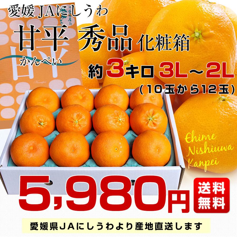 愛媛県より産地直送 JAにしうわ 甘平 (かんぺい) 秀品 3Lから2Lサイズ 3キロ (10玉から12玉)  送料無料　カンペイ 西宇和｜sanchimarugotoouen｜03