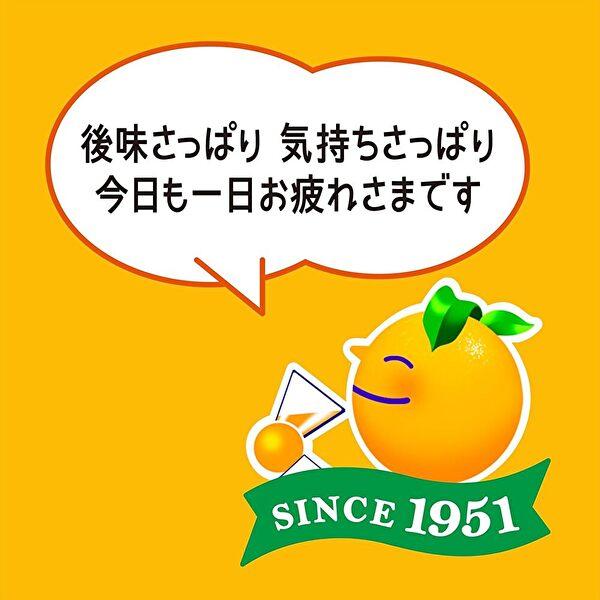 Bireley's 【送料無料(※東北・北海道・沖縄除く)】アサヒ バヤリース