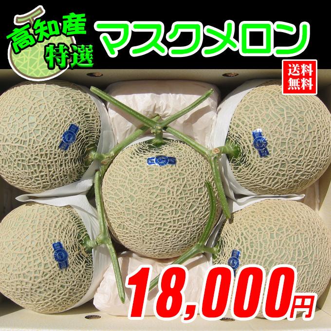 高知県産 マスクメロン1箱 :kudamono-melon-03:新鮮市場 産直あきんど - 通販 - Yahoo!ショッピング