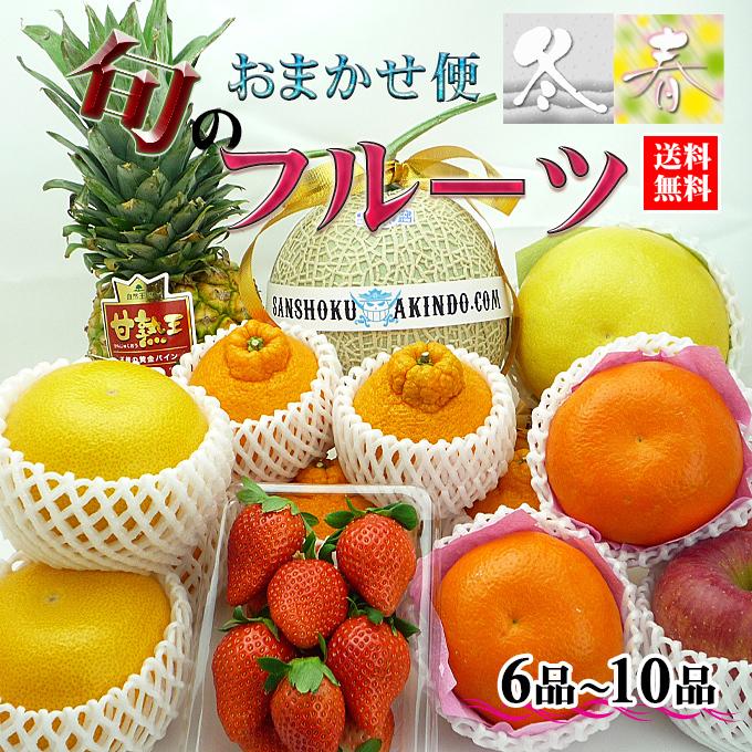 高い品質 マスクメロン入り 特選四季のフルーツの詰め合わせa お中元 果物ギフト 初回限定 Studiostodulky Cz