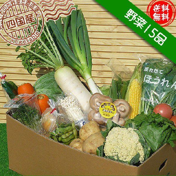 産直あきんど厳選野菜の詰め合わせ15品セット　送料無料｜sanchokuakindo