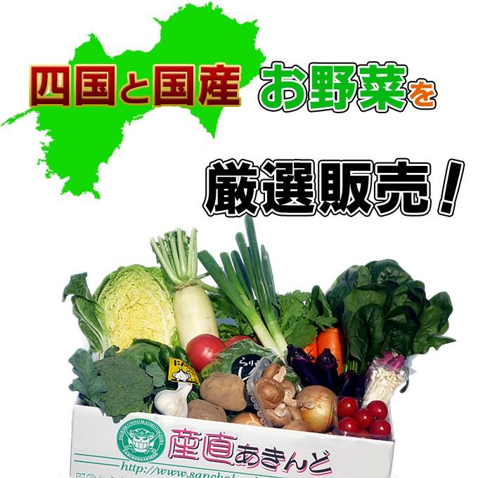 産直あきんど厳選野菜の詰め合わせ15品セット　送料無料｜sanchokuakindo｜04