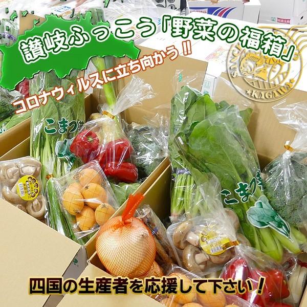 産直あきんど厳選野菜の詰め合わせ15品セット　送料無料｜sanchokuakindo｜05