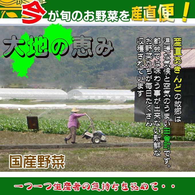 産直あきんど厳選野菜の詰め合わせ21品+秘密のオマケ付き　送料無料｜sanchokuakindo｜03