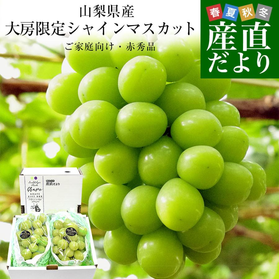 山梨県産 大房シャインマスカット ご家庭向け・赤秀品 1.1キロから1.2キロ前後（2房）送料無料 ぶどう ブドウ 種なしぶどう 葡萄 ※クール便（Yahoo!・産直だより）