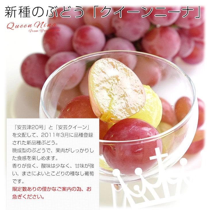 山梨県産 JAふえふき 御坂支所 クイーンニーナ 赤秀品以上 約1.5