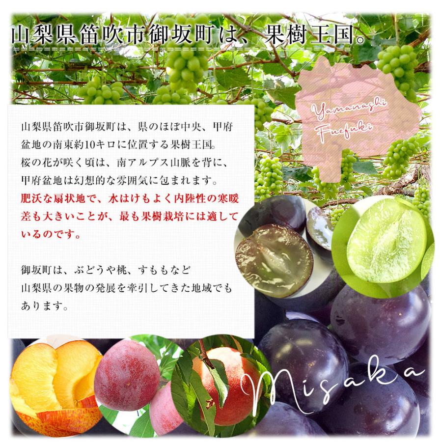 山梨県産 JAふえふき 御坂支所 クイーンニーナ 赤秀品以上 約1.5キロ