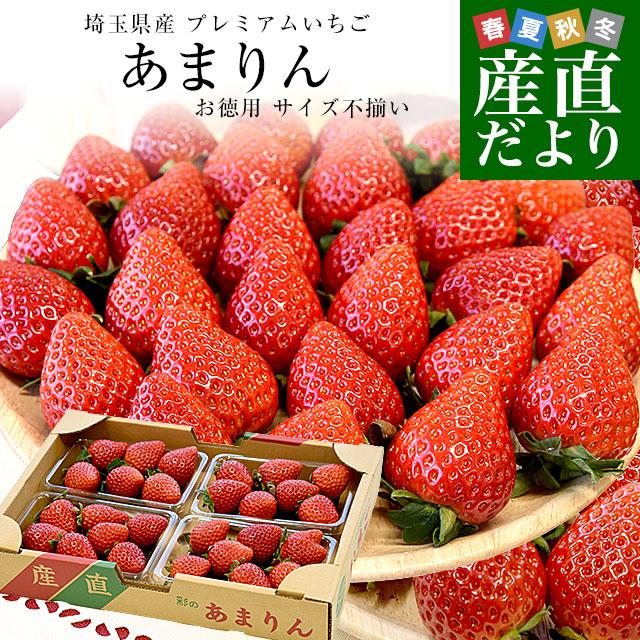 埼玉県産 プレミアムいちご あまりん お徳用 サイズ不揃い 約150g×4入（4粒から15粒前後×4入）送料無料 いちご イチゴ 苺 爆買（Yahoo!・産直だより）