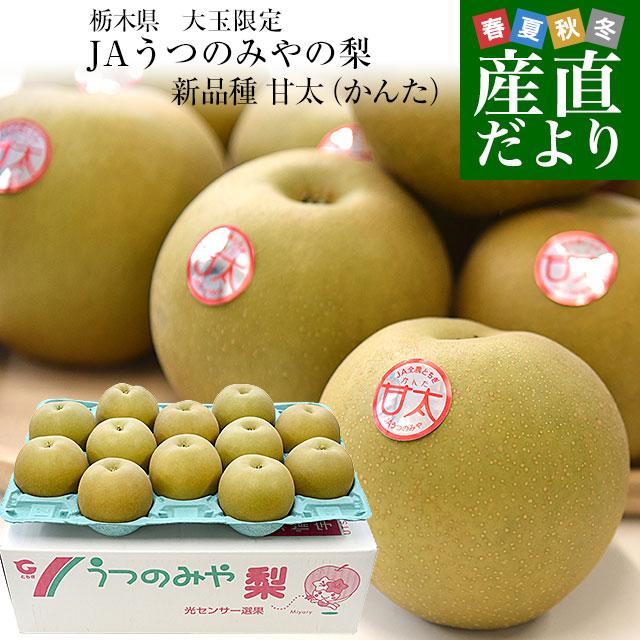 栃木県より産地直送 JAうつのみやの梨 甘太（かんた） 大玉限定 秀品