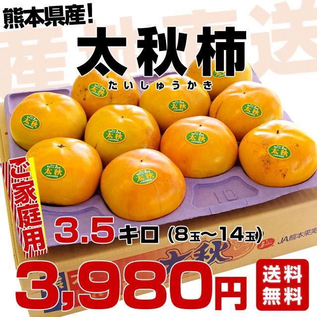 熊本県より産地直送 JAあしきた 太秋柿 3.5キロ(8玉から14玉) 送料無料 柿 かき｜sanchokudayori｜03