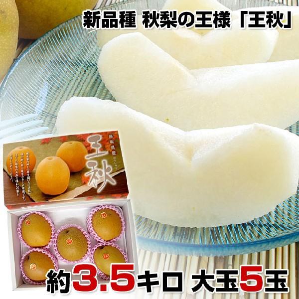 Ja鳥取中央 東郷梨選果場より産地直送 新品種 秋梨の王様 王秋 約3 5キロ 大玉5玉 4 500円 送料無料 120007952 産直だより 通販 Yahoo ショッピング