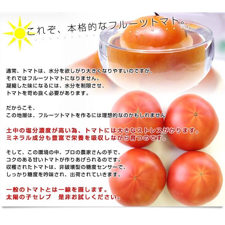 熊本県より産地直送 JAやつしろ 太陽の子セレブ フルーツトマト 約1