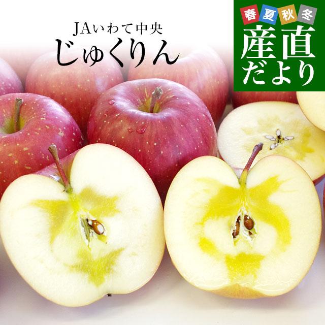 岩手県より産地直送 JAいわて中央 完熟サンふじりんご じゅくりん 約5キロ(16玉から23玉) 送料無料 林檎 リンゴ 御歳暮 お歳暮 ギフト｜sanchokudayori｜02