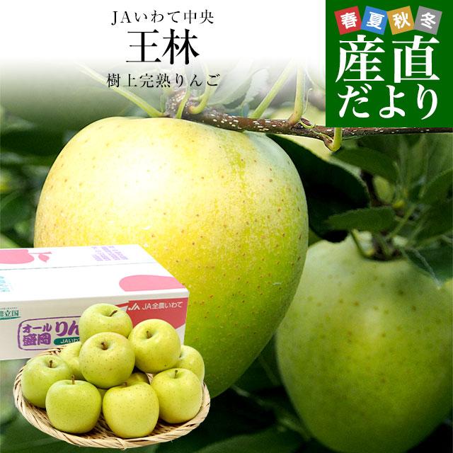 岩手県から産地直送 JAいわて中央 樹上完熟りんご「王林」等級：特以上