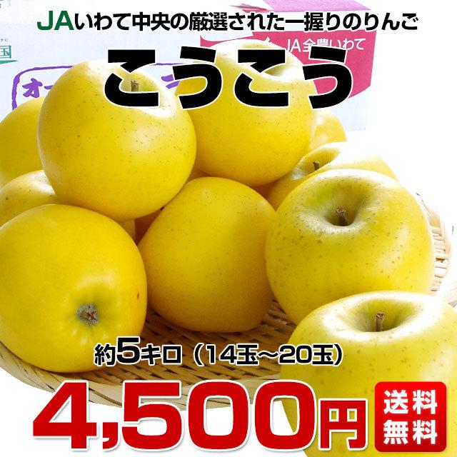 送料無料 岩手県より産地直送 JAいわて中央 こうこう 5キロ (14玉から20玉) 林檎 りんご リンゴ|sanchokudayori|02