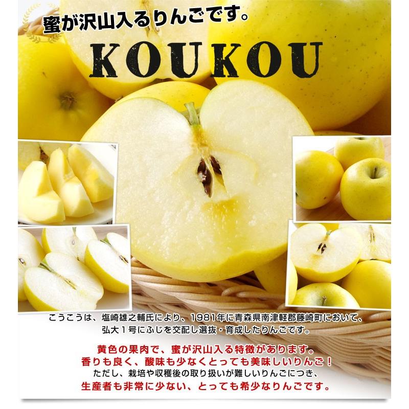 送料無料 岩手県より産地直送 JAいわて中央 こうこう 5キロ (14玉から20玉) 林檎 りんご リンゴ|sanchokudayori|04