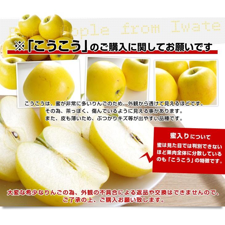 送料無料 岩手県より産地直送 JAいわて中央 こうこう 5キロ (14玉から20玉) 林檎 りんご リンゴ|sanchokudayori|05