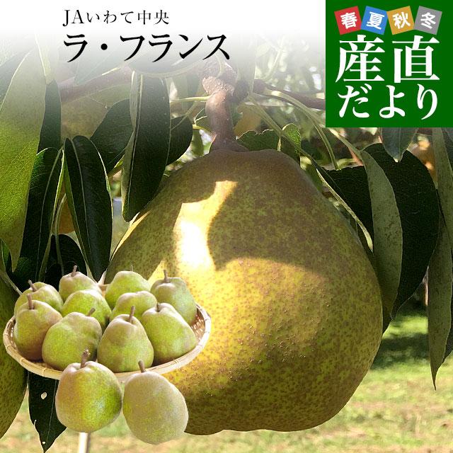 岩手県より産地直送 JAいわて中央 洋梨 ラフランス 5キロ(12 玉から18